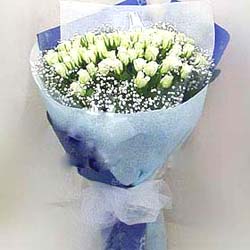 Pure Love - 33 Roses