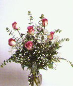 Bi-Color Pink Roses