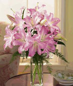 Pink  Lilies