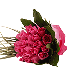 Pink Cleopatre