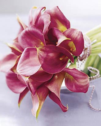 Bridal bouquet15 Majestic Red calla lilies