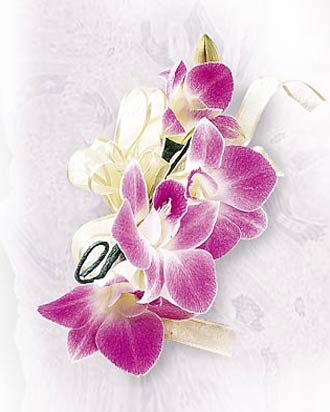 Wedding Flowers: Corsage-orchids