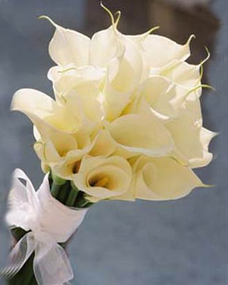 wedding flowers lilies. ridal bouquet-calla lily