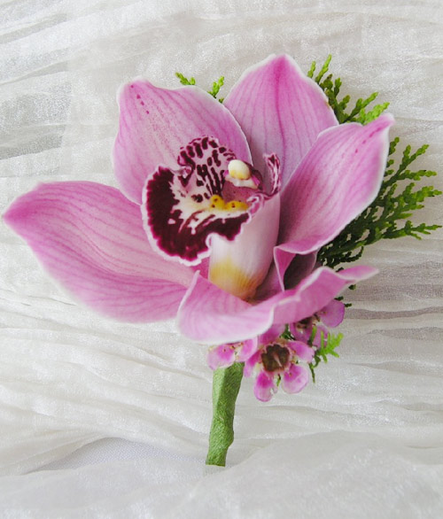Bridal Bouquet: Corsage-Cymbidium orchids
