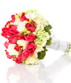 Bridal Bouquet: Simple Blooms