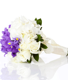 Bridal Bouquet: Discovery