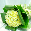 Yellow Rose`s Love