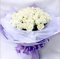Blush - 52 roses