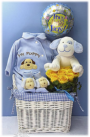 Doggie Gift Set