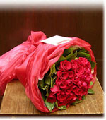 Passionate Romance