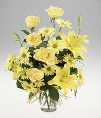 A mixture of all yellow flowers