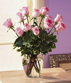 New Baby Pink Roses Bouquet