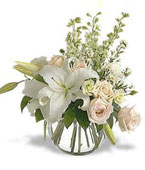 lily presentation