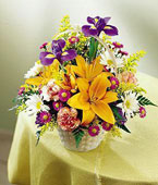 Garden Bloom
