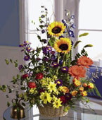 Getwell Soon Greetings