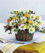 Joyful Roses and Daisies