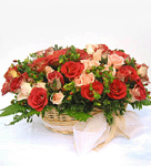 Rosy Garden