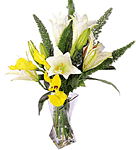 Lilies refinement