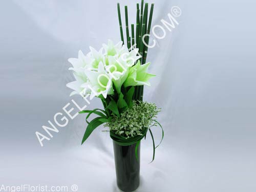 White Elegance