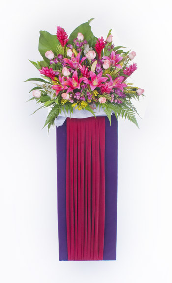 Opening Flower Stand: Cheers