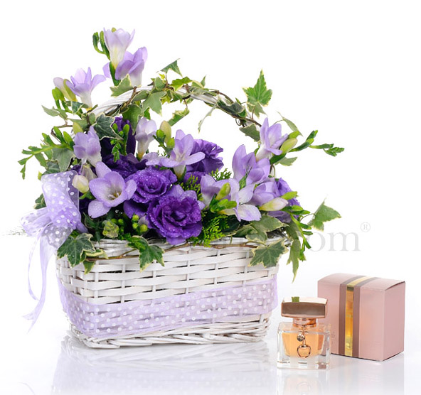 Lavishing Scent
