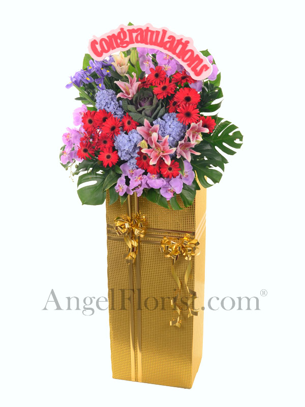 Opening Flower Stand: Vibrant Cheer