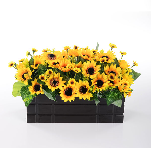 Sunny Surprises