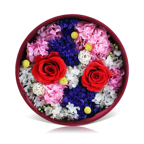 Blooming Delight: Preserverd Flowers