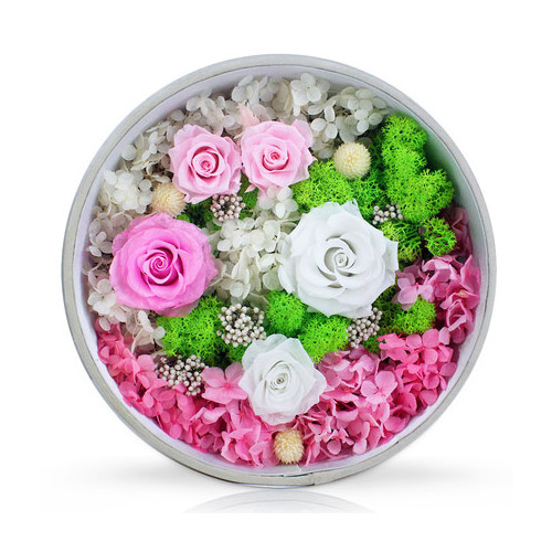 Refreshing Garden: Preserved Flower