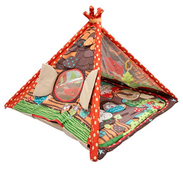Baby Learning Tent