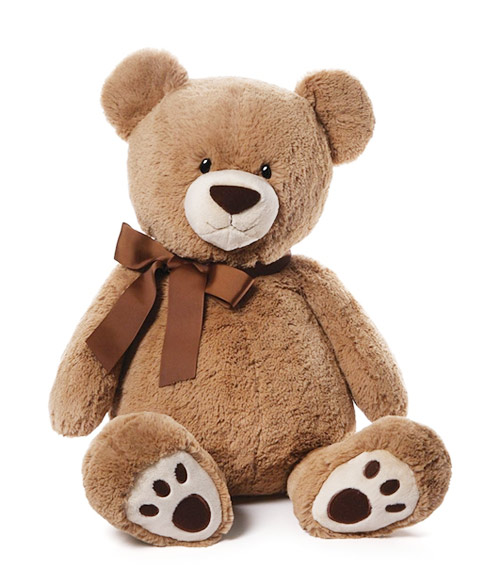 Kiwi Bear