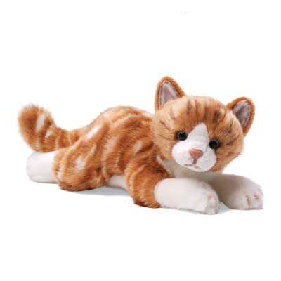 Ginger Cat
