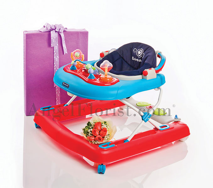 Stylish Baby Walker