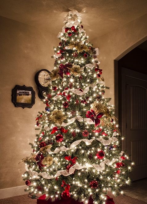 Christmas Tree with lights and Gold Ribbon