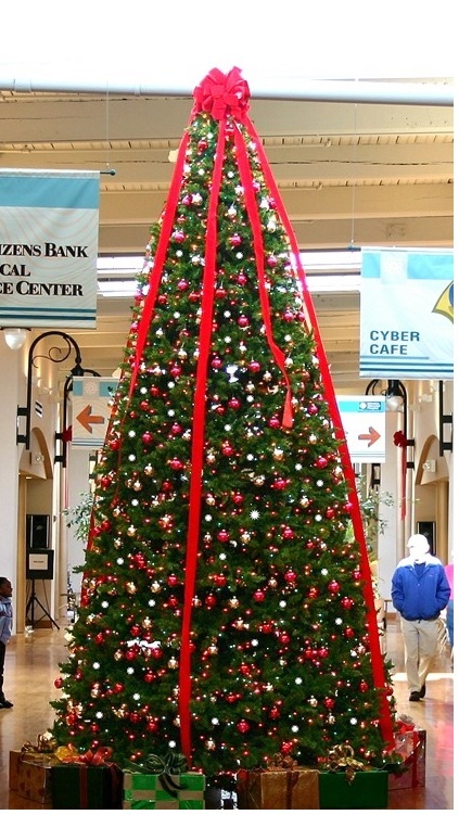 Christmas Tree With Red Ribbon