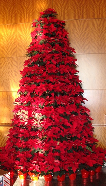 Christmas tree with Poinsettia Decoration