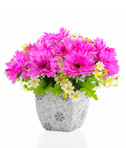 Vibrant Spring