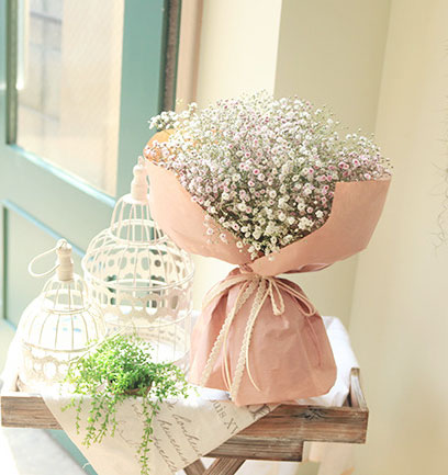 My Baby Breath