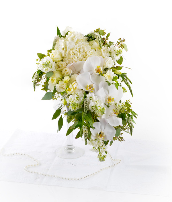 Wedding Flowers: Phalaenopsis Beauty