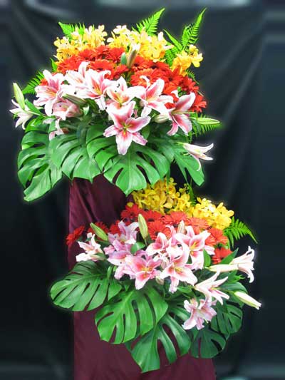 Opening Flowers: Splendour