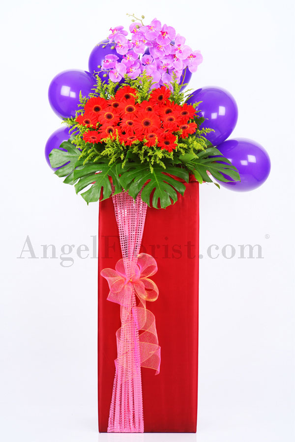 Opening Flowers Stand: Applause