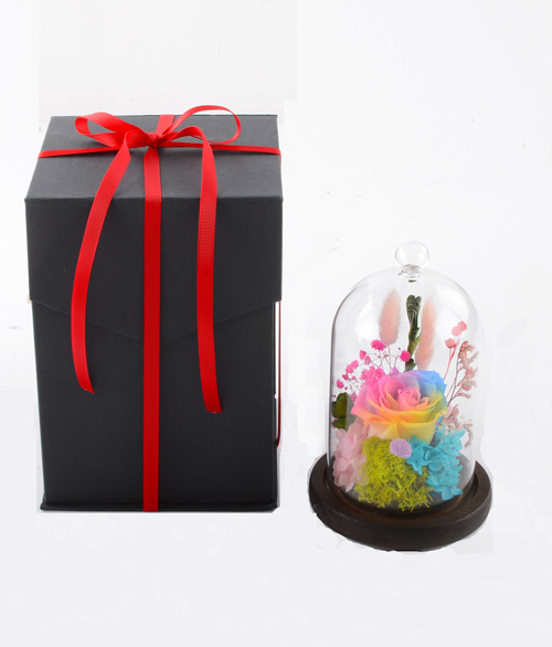 Preserved Flower-The One (Rainbow)