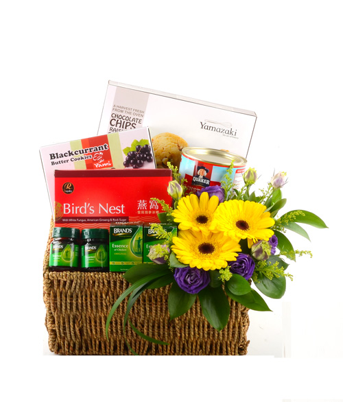 Wellness Trove