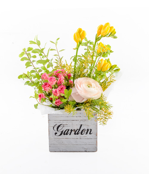 Spring Garden