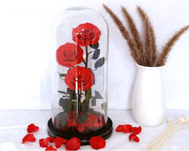 Preserved Roses