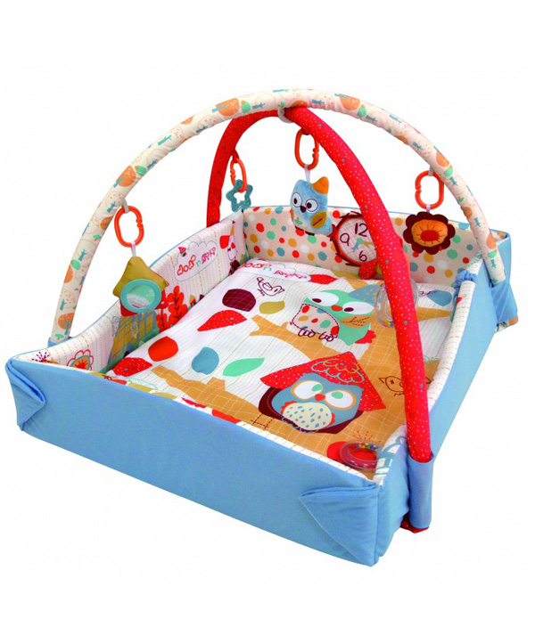 Do Do & Ki Ki Owl Play Gym
