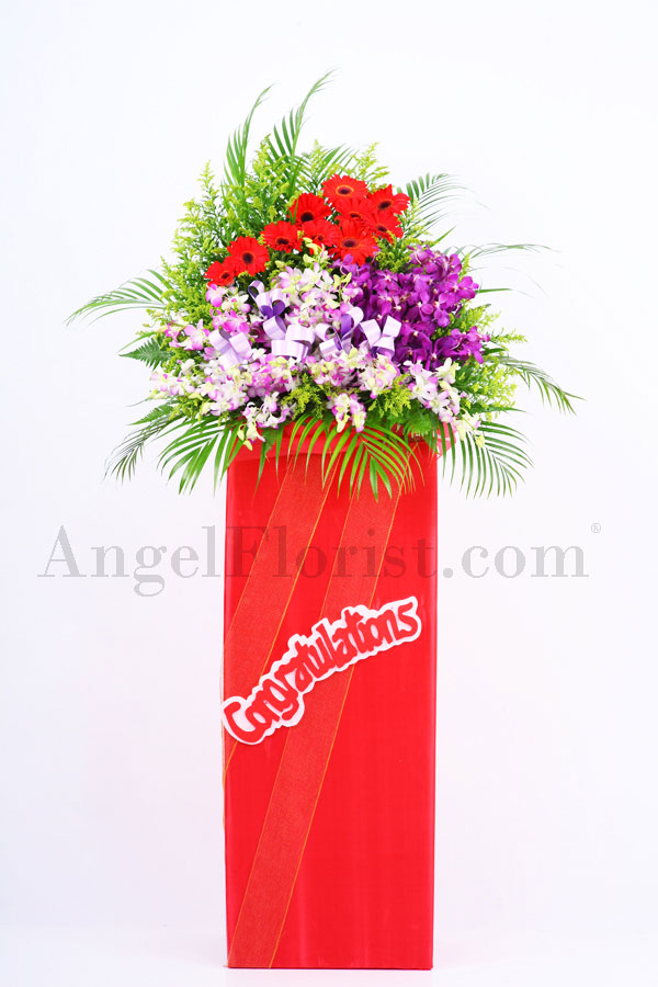 Joyful Congrats