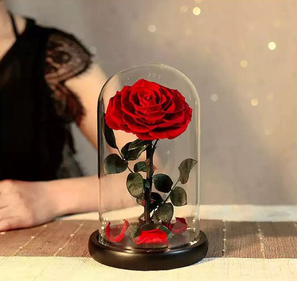 Preserved Rose-Red