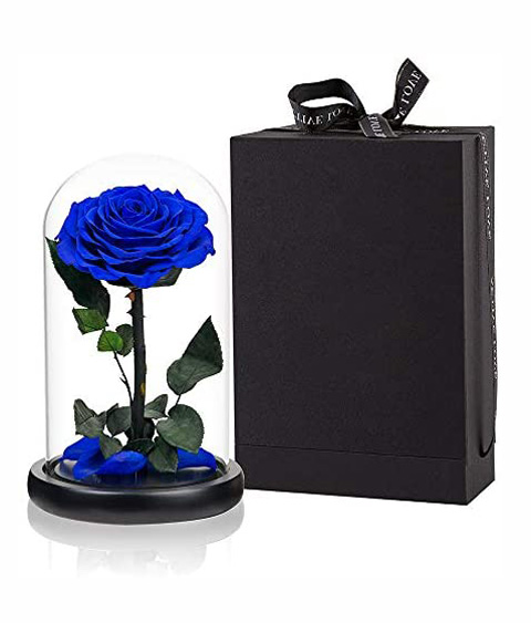 Preserved Rose-Blue