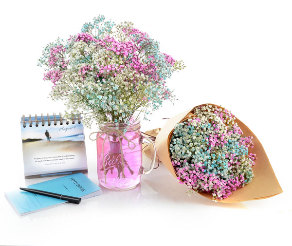 Baby Breath: You're My Star